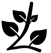 Consultant Lyria Consulting